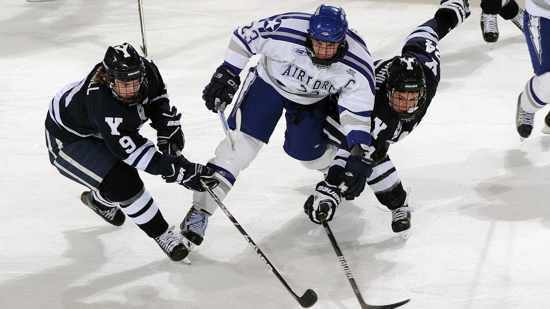 “徒步定向越野：东部新区赛场挑战极限耐力”